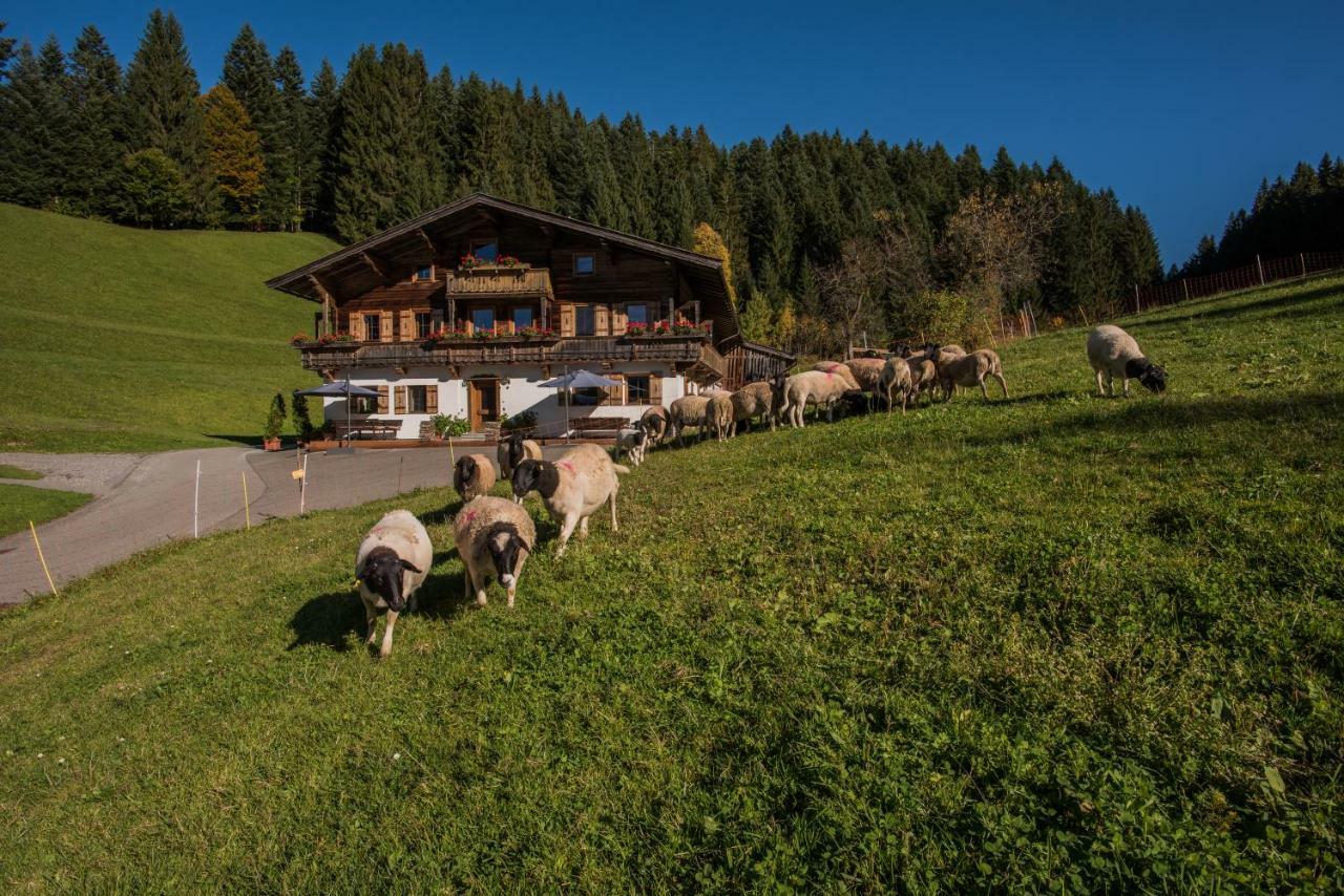 Apartament Bauernhof Muehltalhof Ellmau Zewnętrze zdjęcie